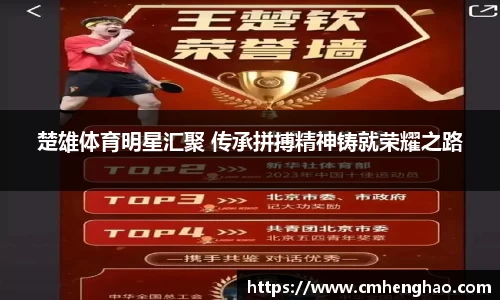 智博19